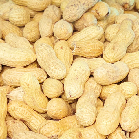 Peanuts In The Shell, Jumbo (Raw)