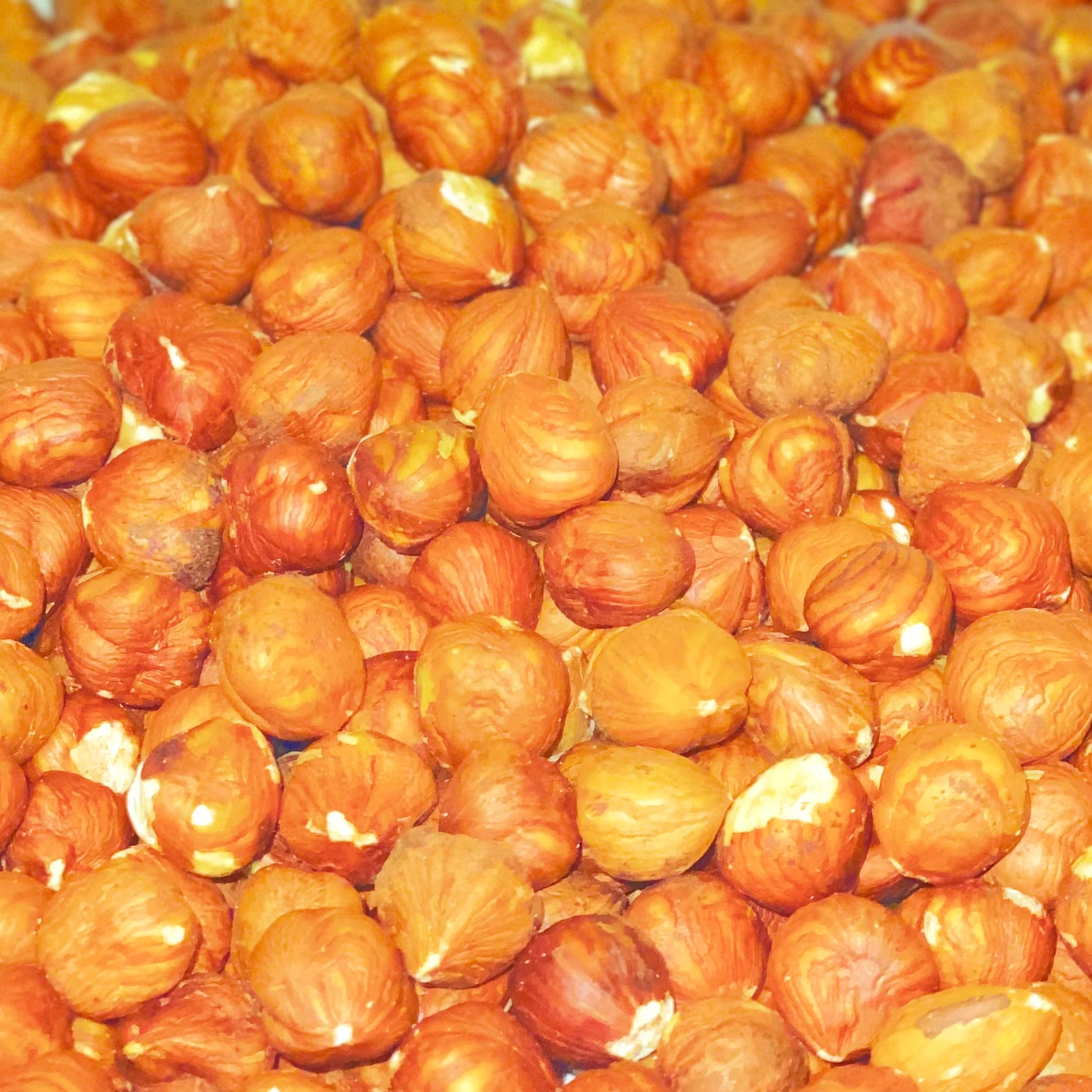 Filberts, Domestic, Whole Natural Hazelnuts (Raw)