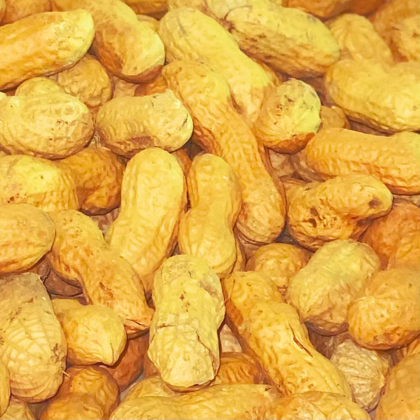 Peanuts In The Shell, Jumbo Unsalted (Roasted) Jeppi Nut & Candy Company