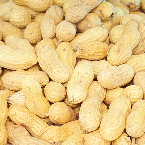 Peanuts In The Shell, Jumbo (Raw) Jeppi Nut & Candy Company