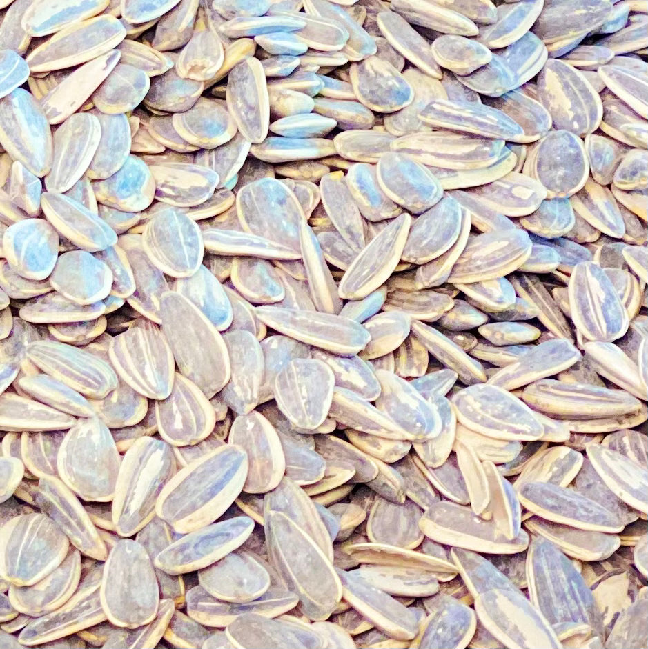 Sunflower Seeds, In the Shell & Salted (Roasted)